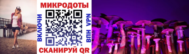 где продают   Полевской  Псилоцибиновые грибы Psilocybe 